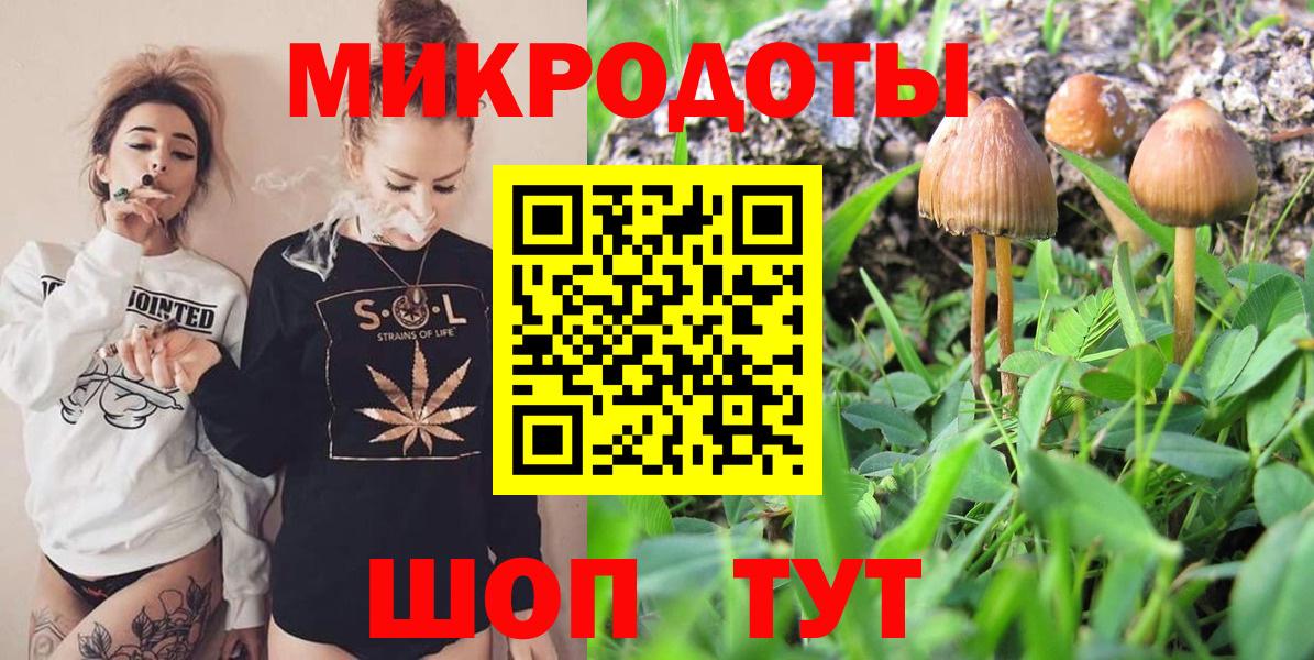 Валуйки  Галлюциногенные грибы Cubensis  Вход с VPN 