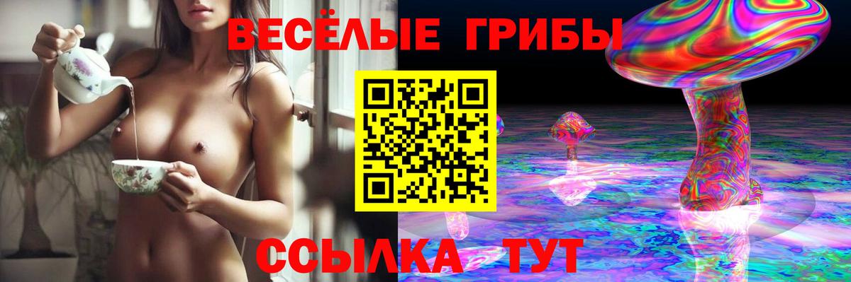 ЭКСТАЗИ Валуйки